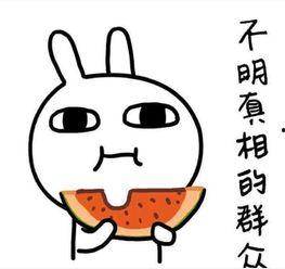 娱乐吃瓜酱说出你的故事,揭秘娱乐圈背后的那些事儿