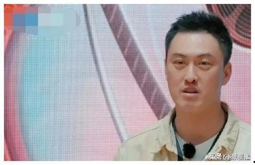 娱乐圈吃瓜爆料的小说