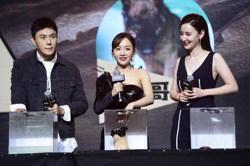 娱乐圈吃瓜爆料连载小说