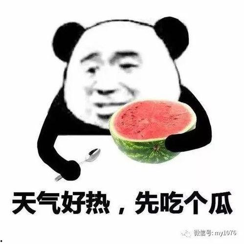 娱乐先锋君吃瓜,吃瓜群众背后的故事
