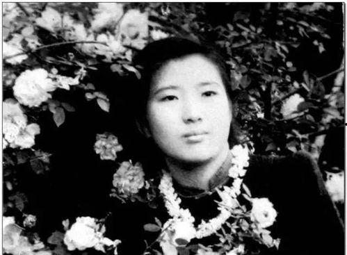 娱乐圈摆烂吃瓜,吃瓜群众围观明星“躺平”现象