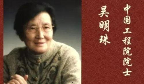 娱乐圈摆烂吃瓜,吃瓜群众围观明星“躺平”现象